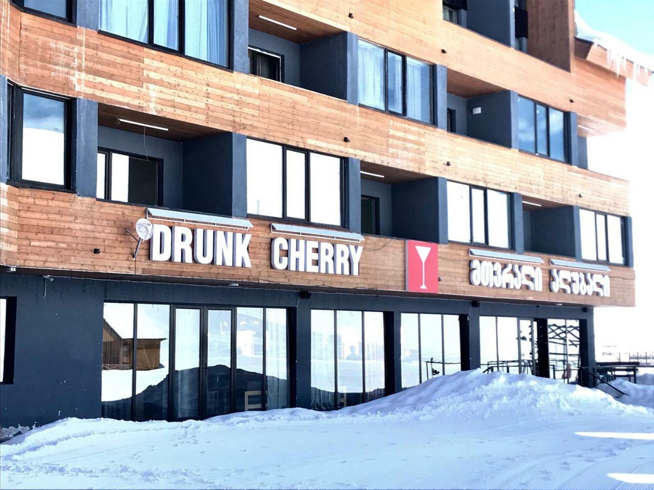 Comfortable Apartment, New Gudauri, Ski Resort Luaran gambar